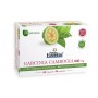 Garcinia Cambogia 800 mg (ext. seco) 60 cápsulas