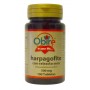 Harpagofito 500 mg (ext.seco) 100 comprimidos