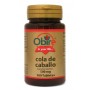 Cola de Caballo 500 mg 100 comprimidos