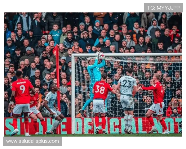 星空足球官网版app：便捷的赛事提醒功能让你不错过每场精彩比赛