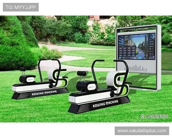 深度分析星空体育手机登录的安全性及用户体验