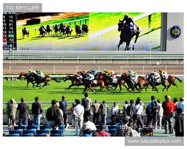 半岛体育官方下载常见问题解答，帮助用户顺利使用软件