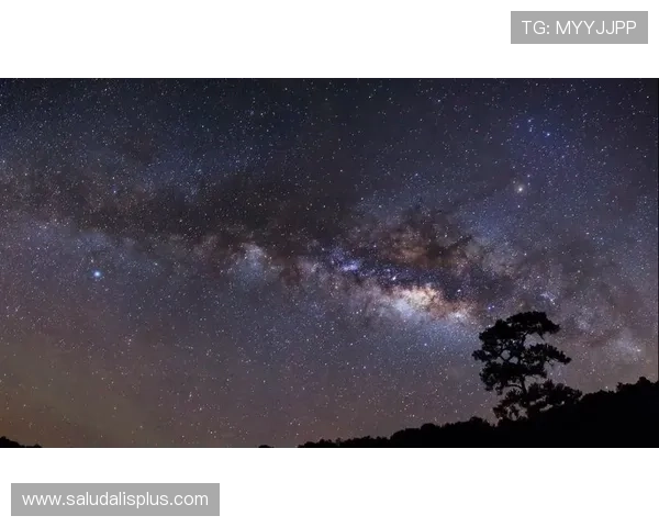 如何快速下载安装星空体育官网app，提供详细操作流程与常见问题解决方案