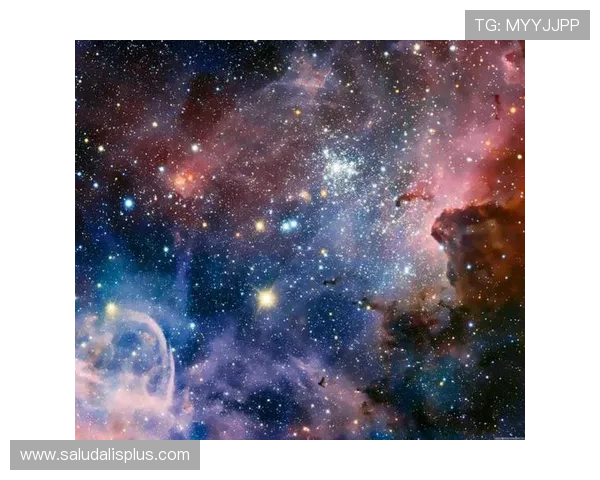 星空.com下载多语言支持版本，满足全球用户的天文学习和观测需求