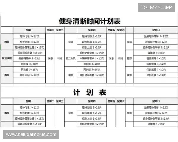 星空体育app：个性化运动计划助你轻松实现健身目标