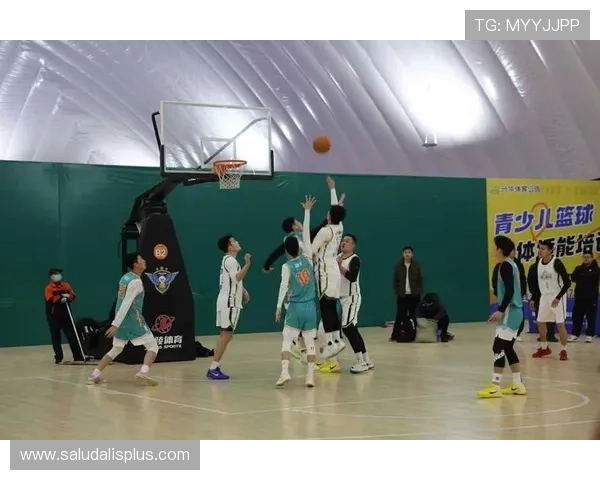 宝博体育丰富的体育项目覆盖,从足球到篮球,满足不同运动爱好者