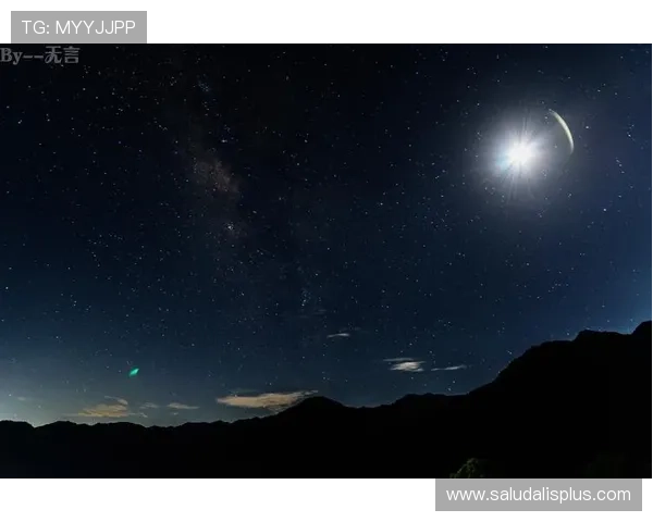 星空体官网登录常见问题解答及安全登录技巧分享