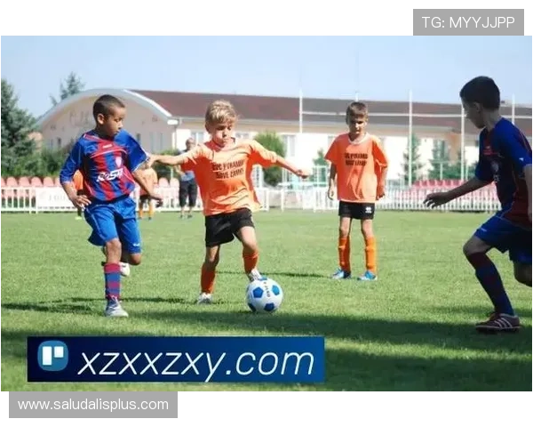 星空体育最新官方下载链接，免费畅享海量体育直播资源内容丰富